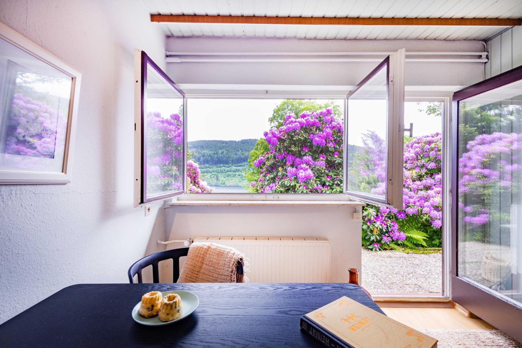 Black Forest Apartments Titisee Exterior foto
